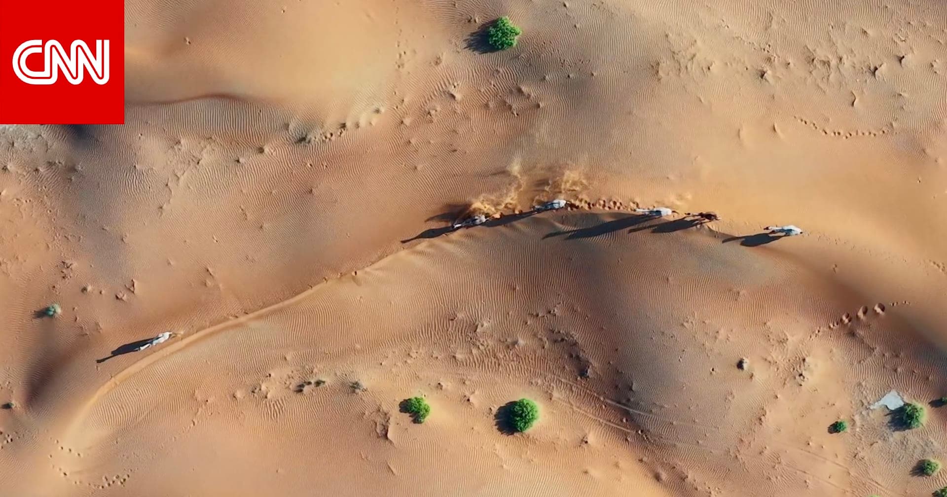 Aerial view of camel caravans in the Rub' al Khali resembling cars