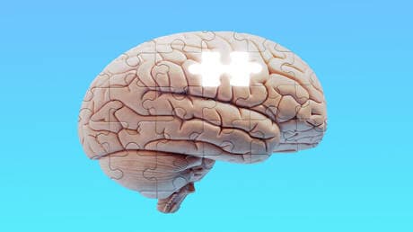 الاستروجين وآثاره على الدماغ
